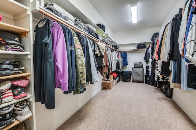 spacious closet featuring carpet floors