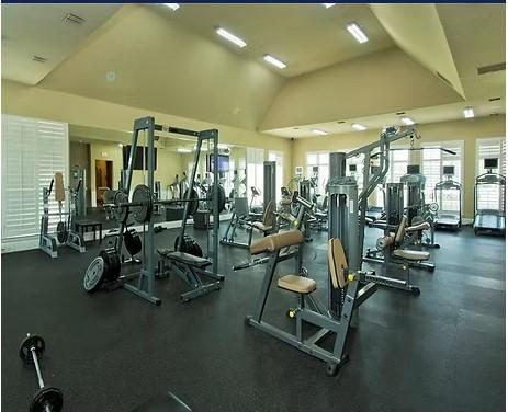 176 Summit Ct, Lavon, TX 75166 - gym with lofted ceiling