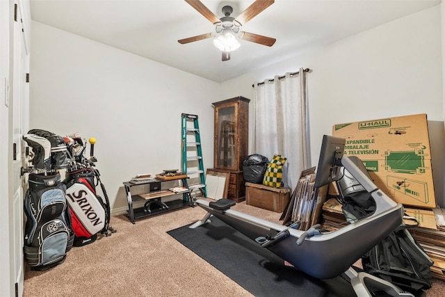 workout room with ceiling fan and carpet