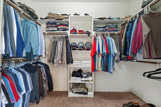walk in closet with carpet floors