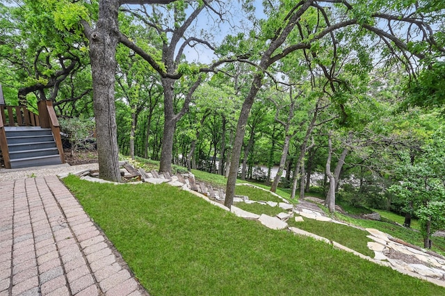 view of yard