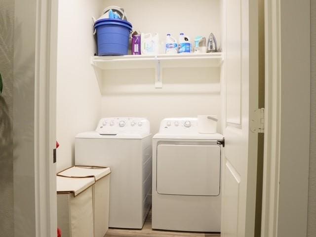 clothes washing area featuring washing machine and dryer, light wood-style flooring, and laundry area