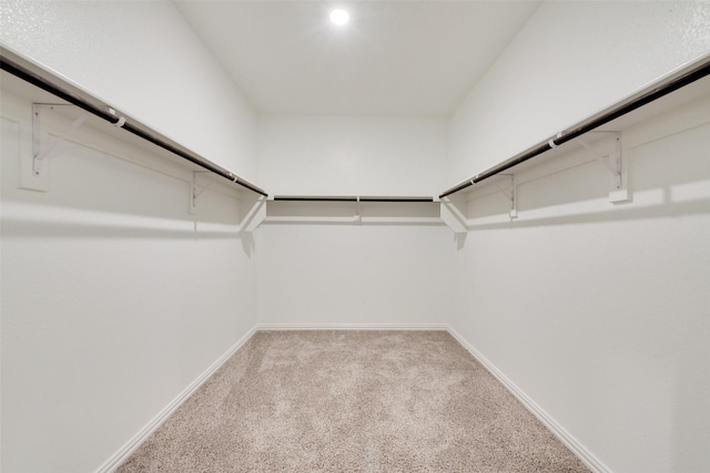 walk in closet featuring carpet flooring