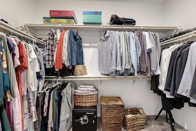 1979 Frediano Ln, Mclendon Chisholm, TX 75032 - walk in closet with carpet