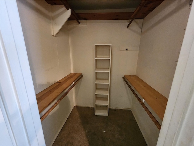 view of spacious closet