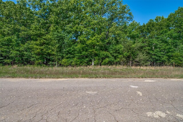 911 Rs County Road 1399, Point, TX 75472