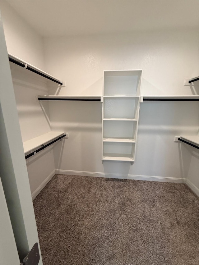 walk in closet with carpet floors