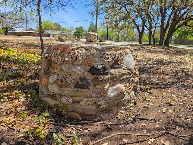 3103 Coggin Ave, Brownwood, TX 76801 - view of yard