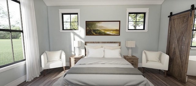 bedroom featuring a barn door, baseboards, and wood finished floors
