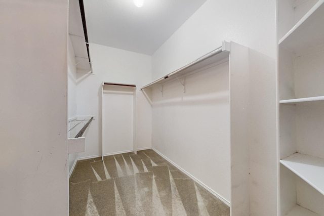 104 Bayonne Dr, Mansfield, TX 76063 - spacious closet featuring carpet