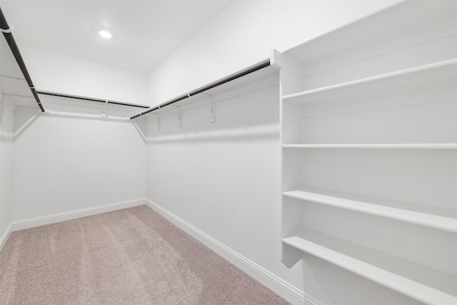 3733 Patience Blvd E, Dallas, TX 75236 - walk in closet with carpet