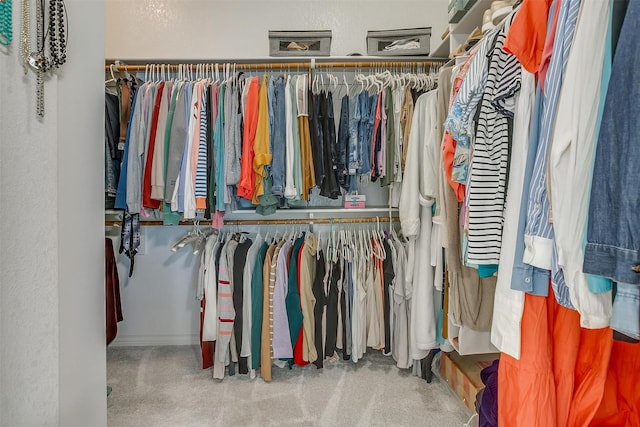 spacious closet with carpet