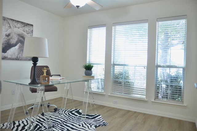 9904 Southgate Dr, Mckinney, TX 75072 - office area with a ceiling fan, wood finished floors, baseboards, and plenty of natural light