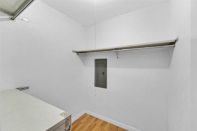 spacious closet featuring electric panel and light wood-style flooring