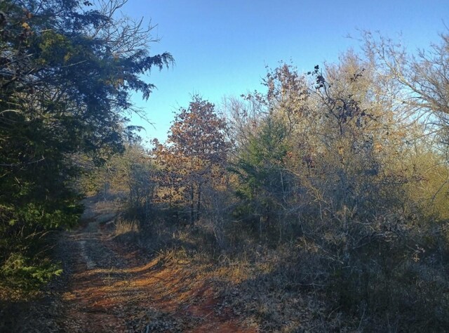 TBD Cr 130, Fairfield, TX 75840