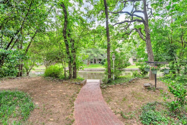 2402 Winewood Ln, Arlington, TX 76013 - water view