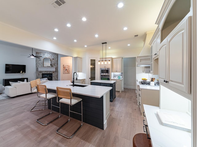 5454 Pebble Creek Dr, Celina, TX 75078 - kitchen with a ceiling fan, a kitchen island with sink, visible vents, appliances with stainless steel finishes, and a sink