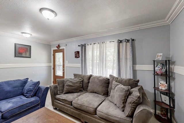 living room featuring crown molding and a textured ceiling