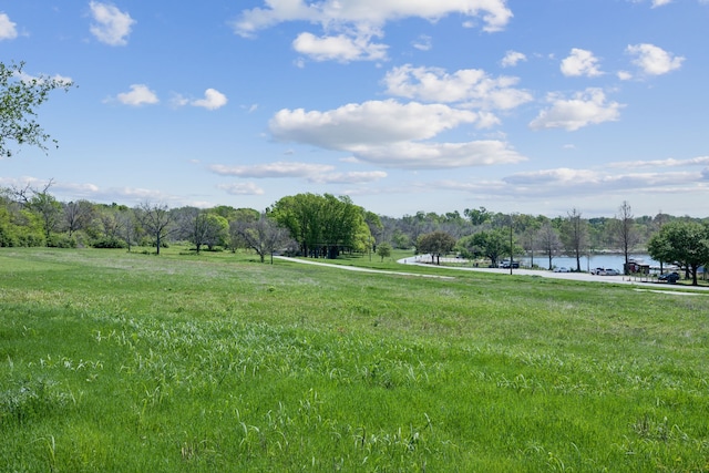 9431 Waterview Rd, Dallas, TX 75218 - view of yard