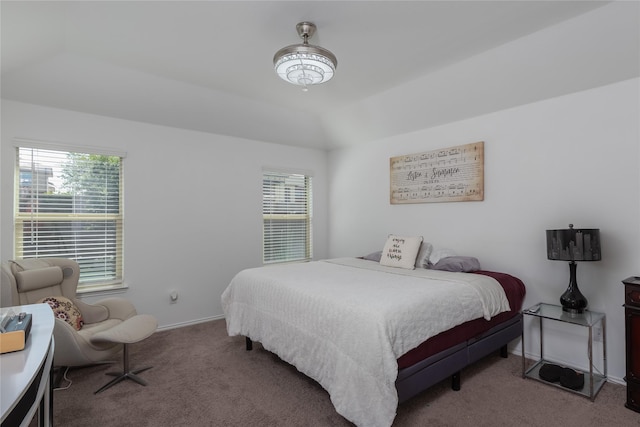 4512 Hiddenite Rd, Little Elm, TX 76227 - bedroom with carpet floors, multiple windows, and baseboards