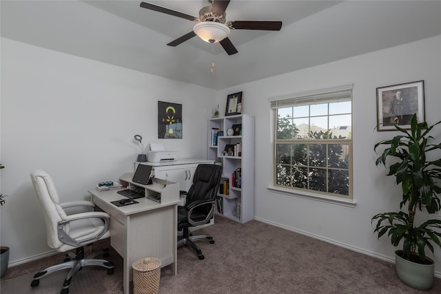 4512 Hiddenite Rd, Little Elm, TX 76227 - office space with carpet and ceiling fan