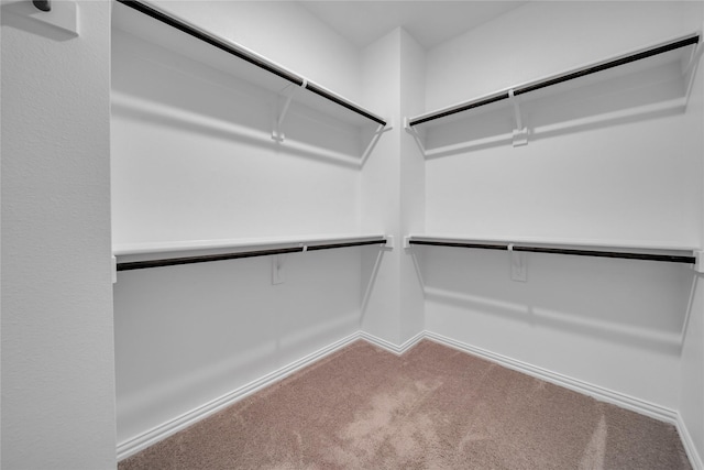 2949 Tenor Way, Sachse, TX 75048 - walk in closet with carpet flooring