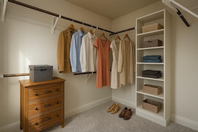 930 Estelle Dr, Euless, TX 76040 - walk in closet featuring carpet floors