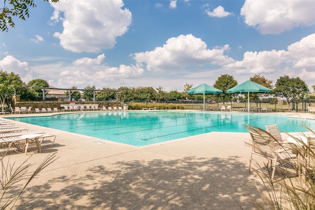 2027 Pine Knot Dr, Heartland, TX 75126 - community pool with a patio