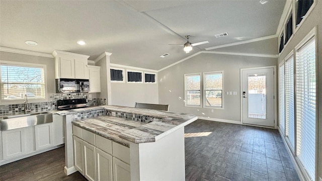 161 Pillsbury Cir, Quitman, TX 75783 - kitchen with tasteful backsplash, visible vents, a sink, a ceiling fan, and black microwave