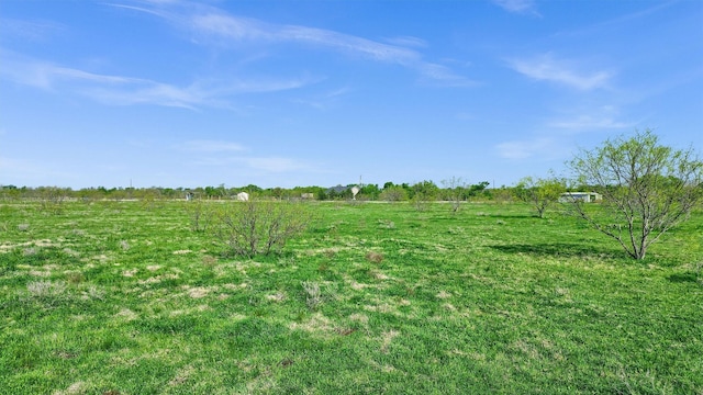view of yard featuring a rural view