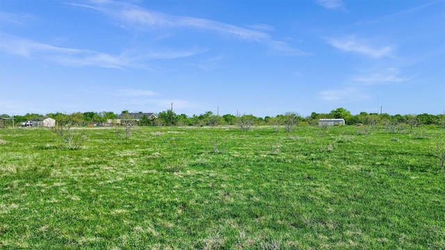 view of yard with a rural view