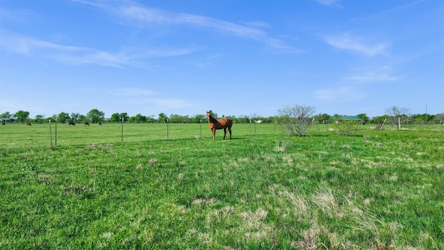 view of yard with fence and a rural view