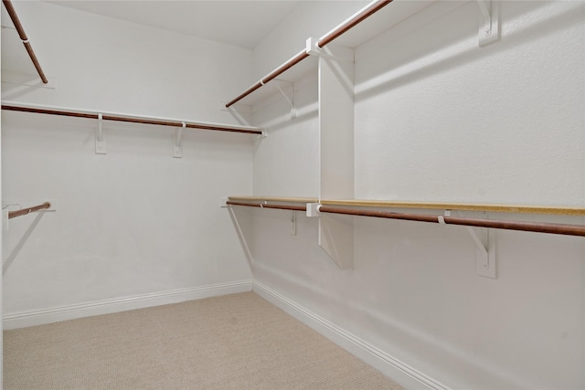 4134 Lee Hutson Dr, Sachse, TX 75048 - walk in closet featuring light carpet