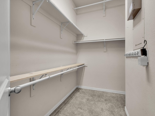 walk in closet featuring carpet flooring