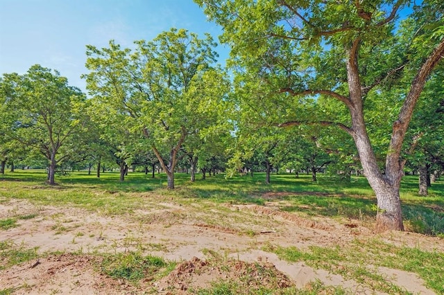 8421 W Landings Rd, Granbury, TX 76049