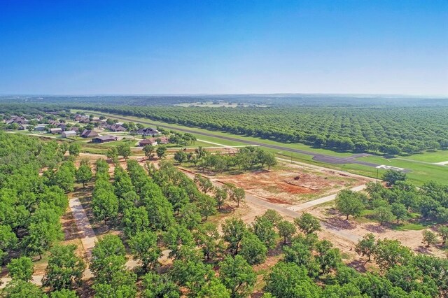 8421 W Landings Rd, Granbury, TX 76049
