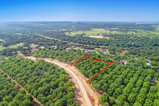 8421 W Landings Rd, Granbury, TX 76049