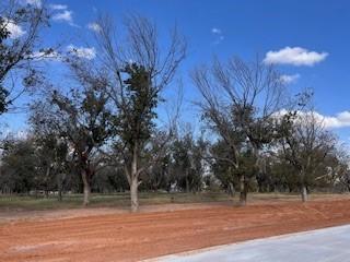 8421 W Landings Rd, Granbury, TX 76049