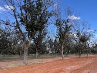 8421 W Landings Rd, Granbury, TX 76049