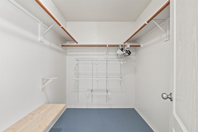 117 Independence Ave, Venus, TX 76084 - view of walk in closet
