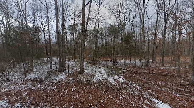 2132 Mount Olive Rd, Beaverdam, VA 23015