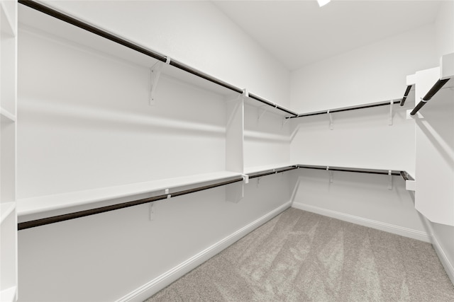 spacious closet with light carpet