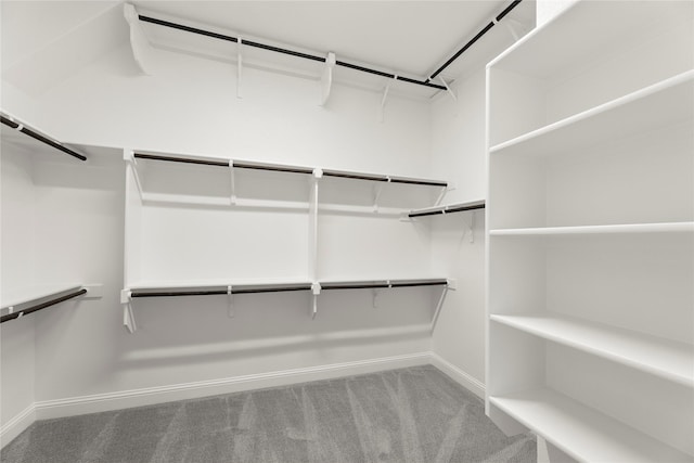 3723 Lochwood Dr, Rowlett, TX 75088 - walk in closet featuring carpet floors