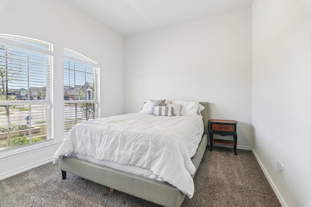 13412 Cortes De Pallas Dr, Little Elm, TX 75068 - bedroom featuring carpet, multiple windows, and baseboards
