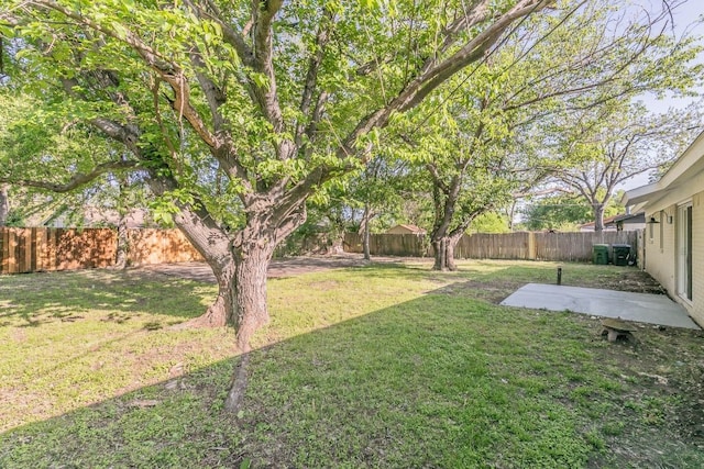 1807 Lachelle Ln, Arlington, TX 76010 - view of yard featuring a patio