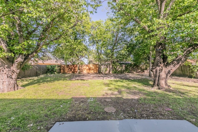 1807 Lachelle Ln, Arlington, TX 76010 - view of yard