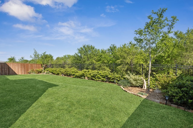 808 Bluestem Dr, Aubrey, TX 76227 - view of yard
