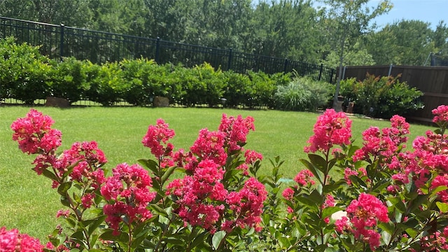 808 Bluestem Dr, Aubrey, TX 76227 - view of yard