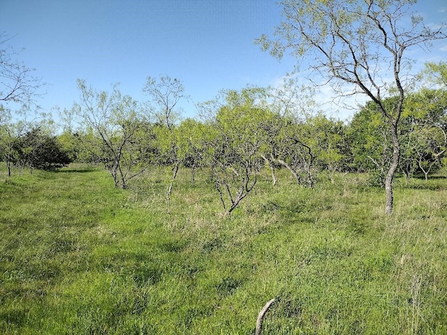 4007 Vista Oak, Royse City, TX 75189