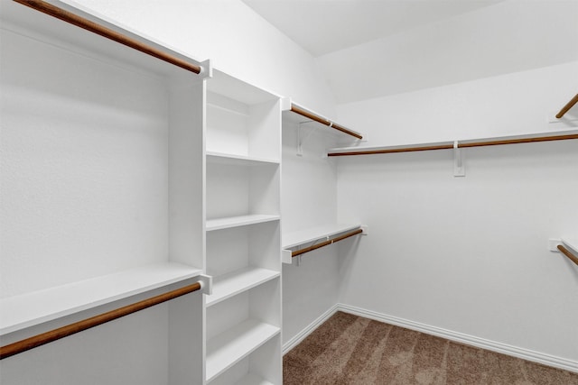 2309 Watercrest Dr, Keller, TX 76248 - walk in closet featuring carpet floors
